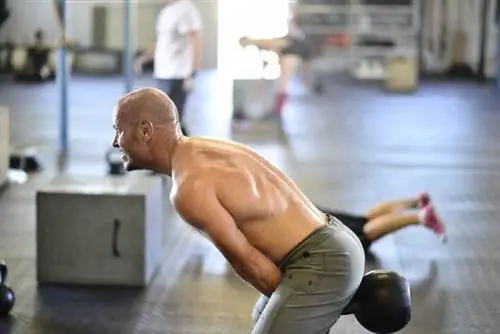 интенсивность, 1RM, vmf, проценты, тренировка с отягощениями, мышечная активация