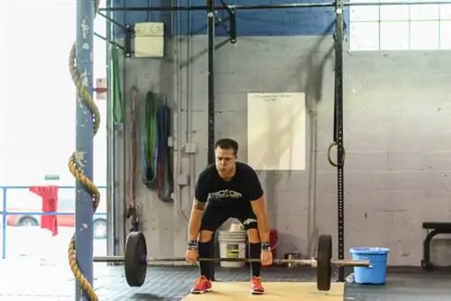 интенсивность, 1RM, vmf, проценты, тренировка с отягощениями, мышечная активация