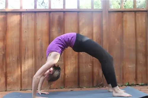 Прогибы назад 101 (Журнал подготовки учителей йоги, часть 3)