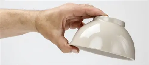 калории, ожирение, жир, потеря жира, жировые отложения, гормоны, лептин, глюкагон, грелин