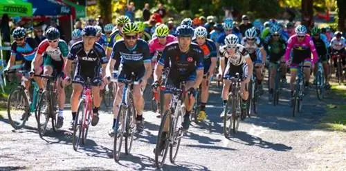 весы, жировые отложения, USDA, образ тела, состав тела, масса тела, врачи