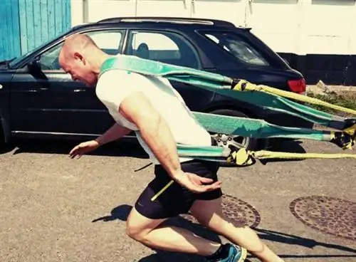 сила, скорость, мощность, сани, ускорение, сила, развитие