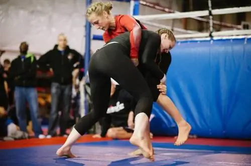 BJJ, сила, техника, выносливость, кондиционирование, относительная сила