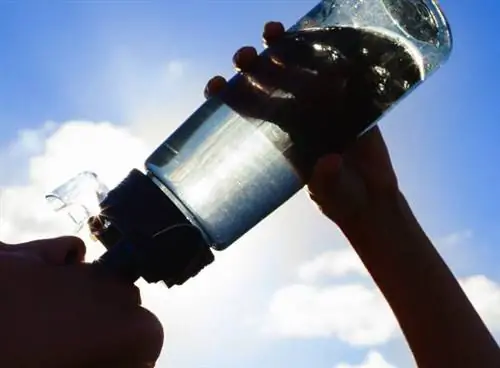 Пить до жажды: достаточно ли этого?