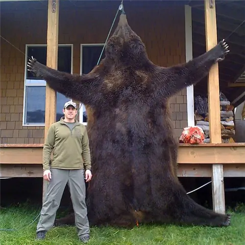 Poking the Bear: штаб-квартира CrossFit - настоящий интернет-тролль?