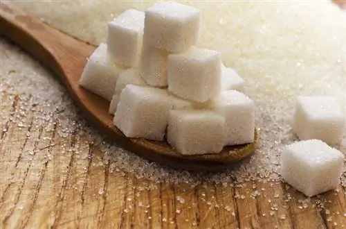 Химическое определение сахара: весь ли сахар просто «сахар»?