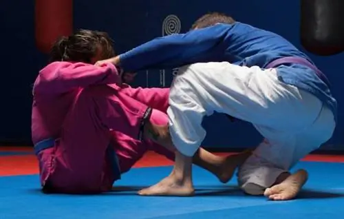 джиу-джитсу, бжж