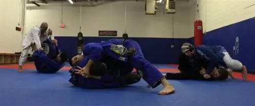 джиу-джитсу, бжж