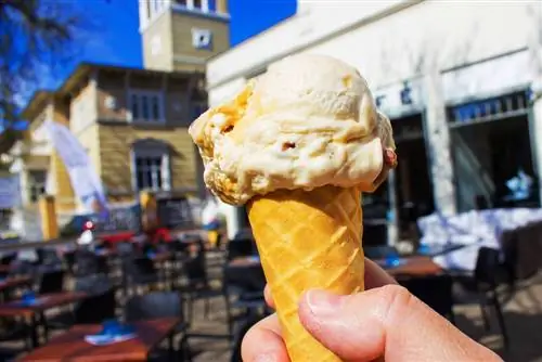 Сила мороженого: сахар снимает стресс