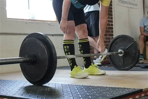 Как добиться наилучших результатов, занимаясь каждый день