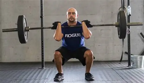 Вам 7 или 2? Как определить лучшего тренера для вас