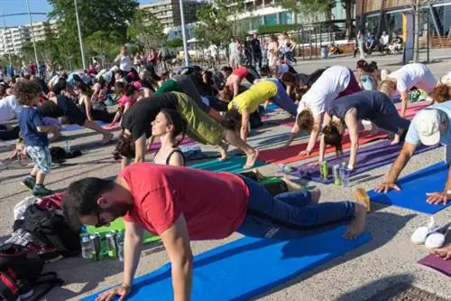 йога, йога сообщество