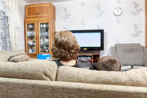 сидячий образ жизни