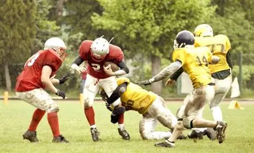 Спортсмены должны адаптировать метод тренировок к выбранному виду спорта.