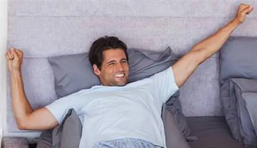 Ипомея: что связанные со сном эрекции говорят о вашем здоровье