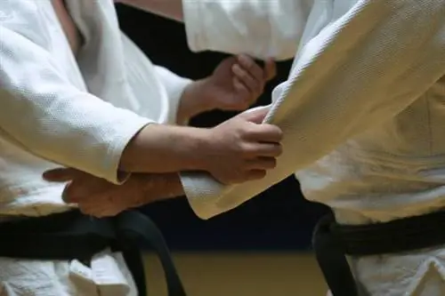 PanAms: один из крупнейших турниров (то есть турниры по BJJ)