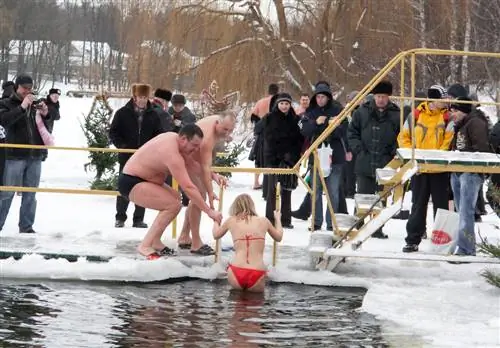 Клубы белых медведей шокируют систему