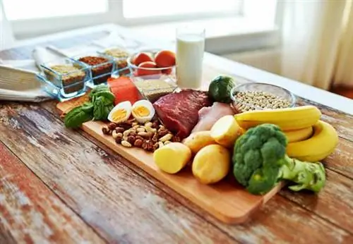 Разнообразие продуктов. Разнообразие продуктов.