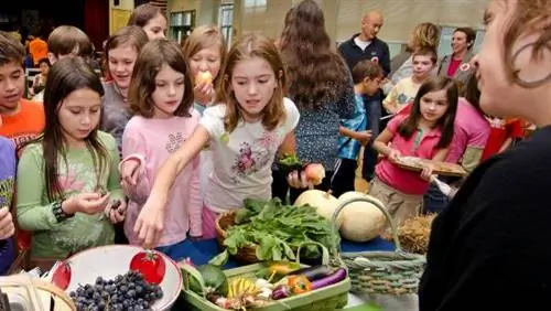 питание в школах