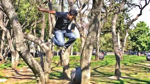 Движение в городской полуприроде