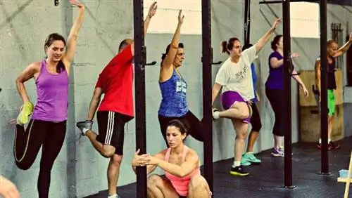 растяжка на четвереньках