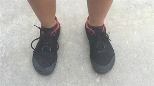 Ноги не прямые.