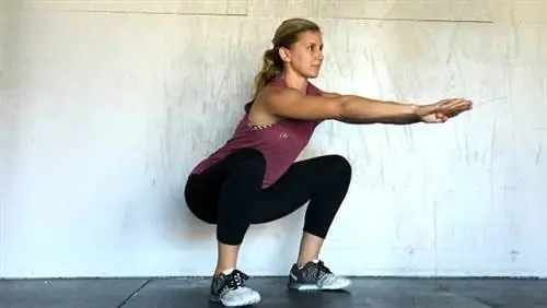 приземистый