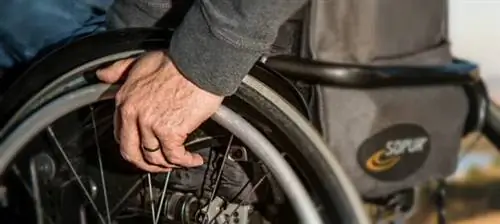 Физкультура в молодости может быть предвестником БАС в более позднем возрасте