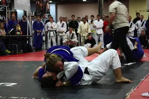 ibjjf, бразильское джиу-джитсу, бжж, грэпплинг, мундиаль ibjjf, бразильское джиу-джитсу, бжж, грэпплинг, мундиаль