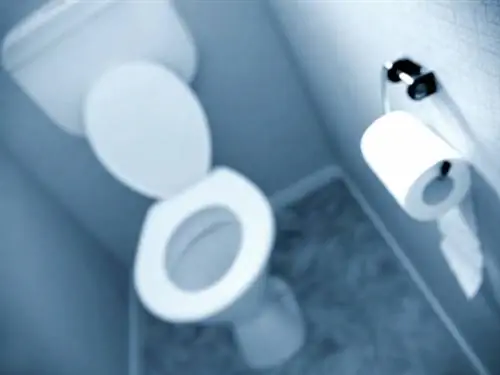 Все какают, Часть 2: Как ни крути, а гуляй