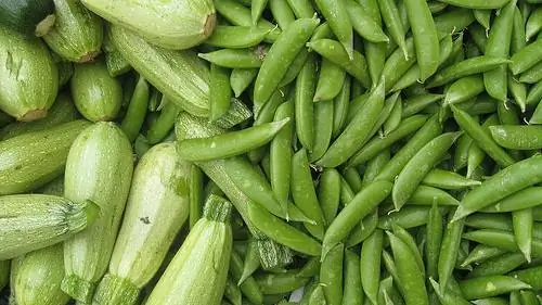 CSA: покупка в сообществе продуктов питания