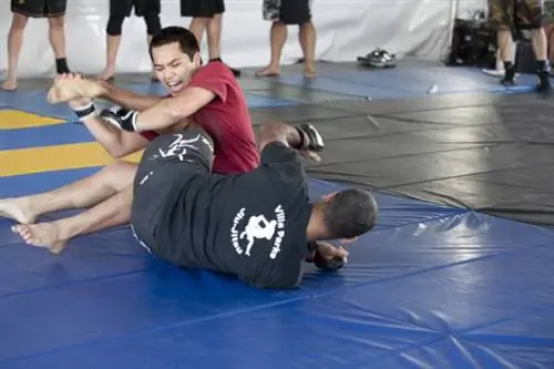 Как стать более сильным и выносливым грэпплером за 80 минут в неделю