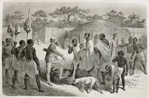 Использование современных технологий для достижения здоровья предков