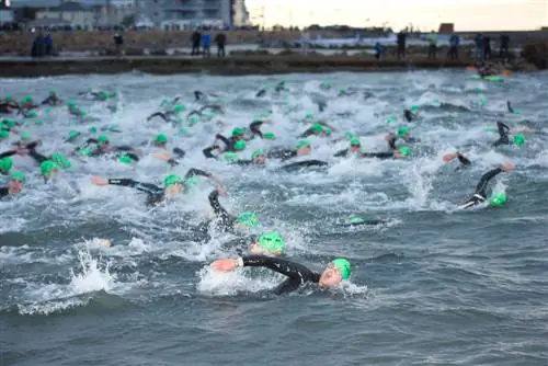 Опасности плавания в открытой воде: гипотермия и гипертермия