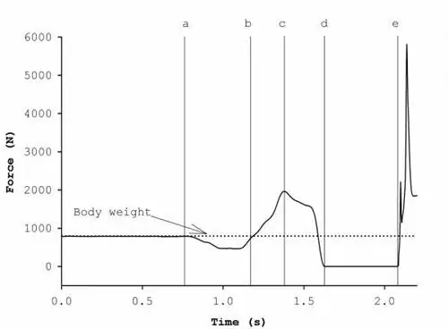 Джейсон Лейк, биомеханика маха гири, биомеханика прыжка, кривая сила-время