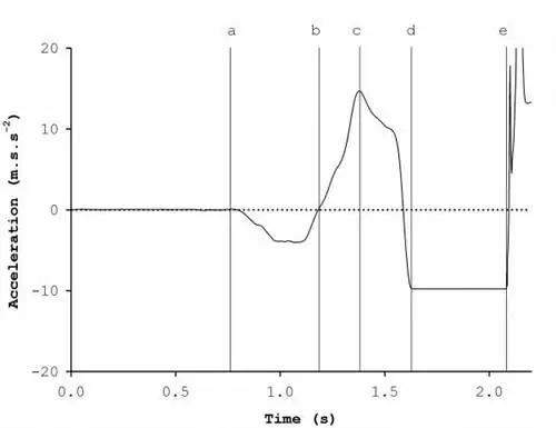 Джейсон Лейк, биомеханика маха гири, биомеханика прыжка, кривая сила-время