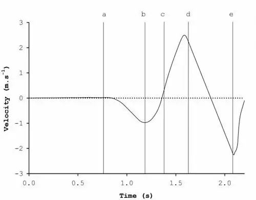 Джейсон Лейк, биомеханика маха гири, биомеханика прыжка, кривая сила-время