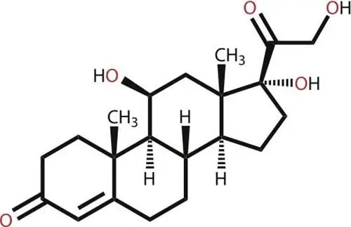 Почему и как вы обязательно должны контролировать уровень кортизола