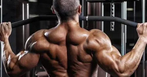 Разгадка тайны частоты тренировок для гипертрофии