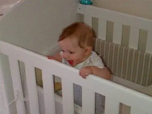 Дэвид Кросс, тренажерный зал в южной африке, тренажерный зал в кейптауне, фитнес-центр в южной африке