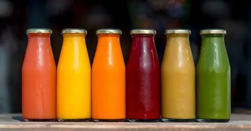 Питание с точки зрения практикующего врача