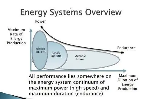 биофорс HRV, монитор HRV, отслеживание HRV, салли турнир по бжж, турнир по бжж