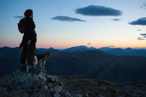 вид на горы