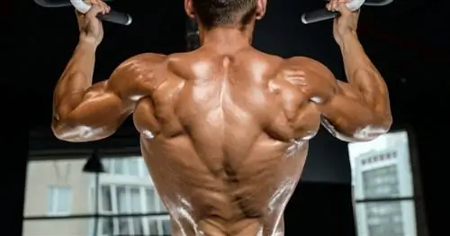 Энергетические батончики для улучшения вашего образа жизни