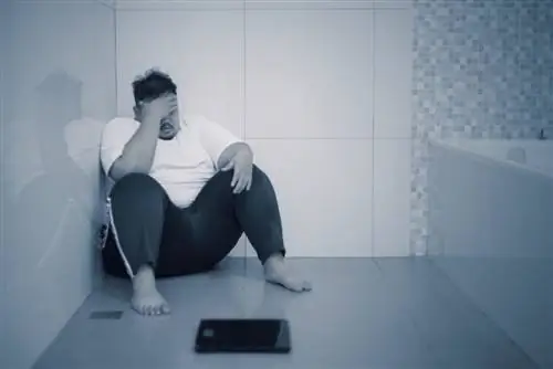 Диета против образа жизни: измениться непросто