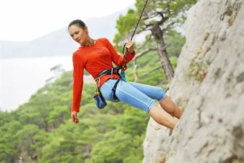 посредственность, специализация по насекомым, общий фитнес, специализированный фитнес