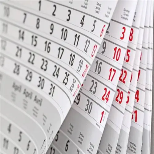 силовые тренировки, фитнес, упражнения, тренировки, программирование, Эндрю Рид