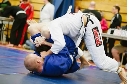 Начало работы в BJJ: 8 статей для новичков