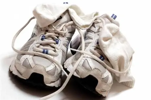 Привычки и суеверия (имеет ли значение, если вы носите разные носки?)