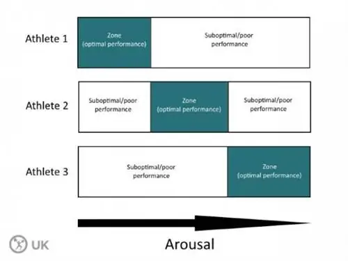 спортсмен-тактик, возбуждение, тревожность, работоспособность, спортивная психология
